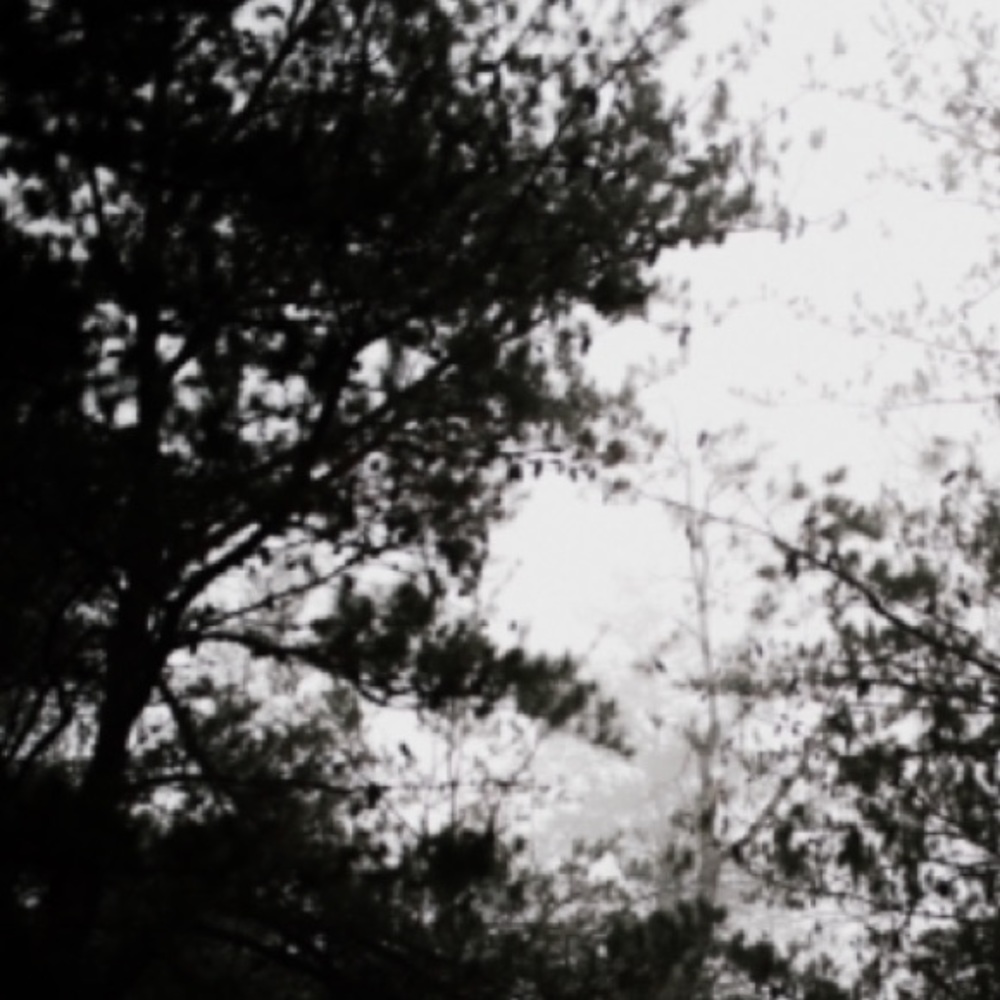 Meet your Posher, Mckenzie